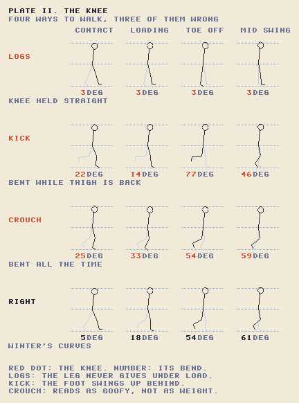 Four skeletons walking on the spot, one per knee rule: straight, kicking, crouching, and Winter's.
